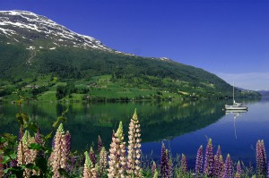 Norwegen Busreise Geirangerfjord