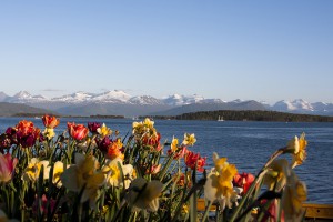 Hurtigruten-Tipp
