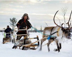 Lapplandreise Winterabenteuer1 Mit dem Rentierschlitten auf Lapplandreise