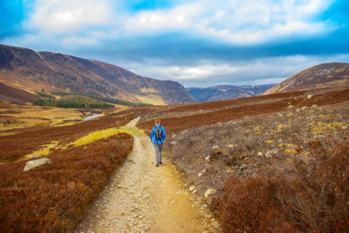 Spaziergang durch den Cairngorms Nationalpark in Schottland. Bild: shutterstock/iweta0077